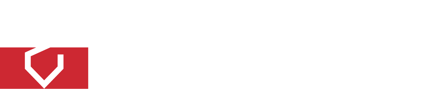 Rings Brunnsborrning AB logo